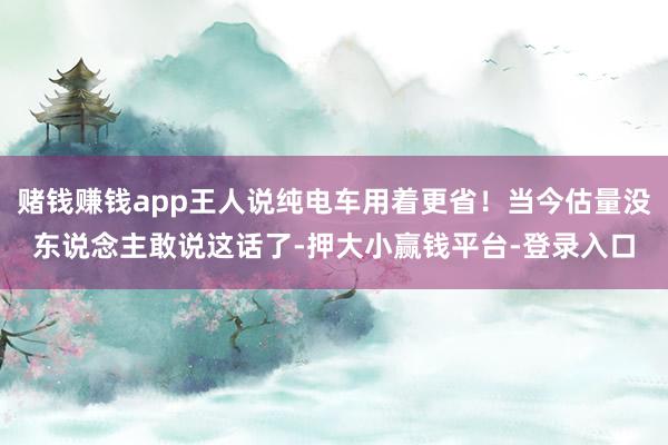 赌钱赚钱app王人说纯电车用着更省！当今估量没东说念主敢说这话了-押大小赢钱平台-登录入口