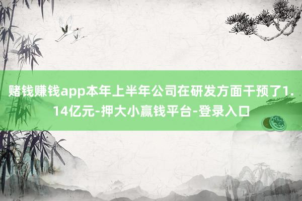 赌钱赚钱app本年上半年公司在研发方面干预了1.14亿元-押大小赢钱平台-登录入口