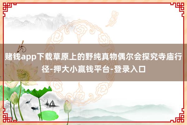 赌钱app下载草原上的野纯真物偶尔会探究寺庙行径-押大小赢钱平台-登录入口